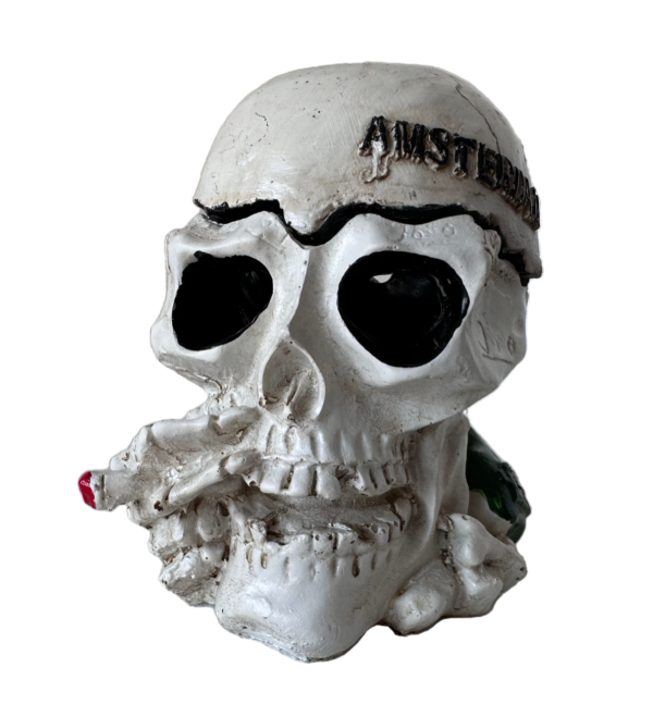 20006 B06 Big Amsterdam Design Skull
